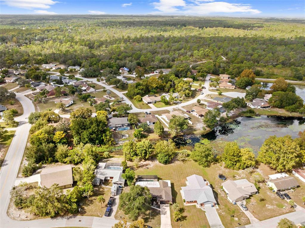 7401 Galloway Road Weeki Wachee, FL 34613 - Photo 3 of 56