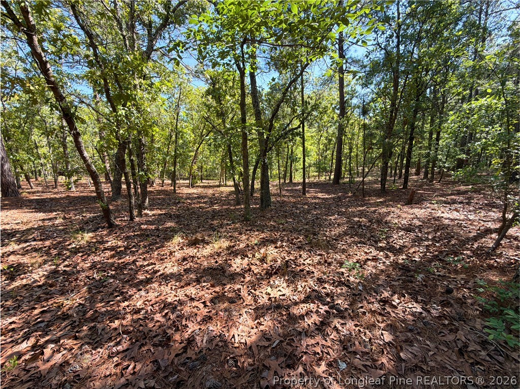 Flowers Road Raeford, NC 28376 - Photo 15 of 16 Gallery Image 15