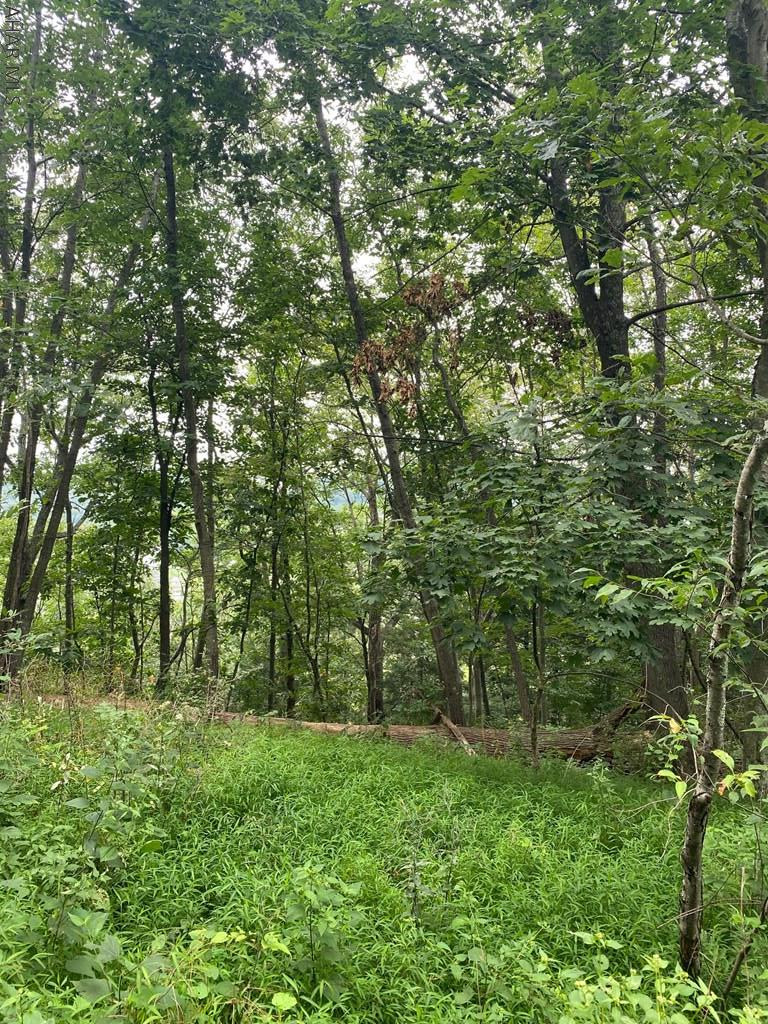 171 Cragan Road Everett, PA 15537 - Photo 7 of 20 Gallery Image 7