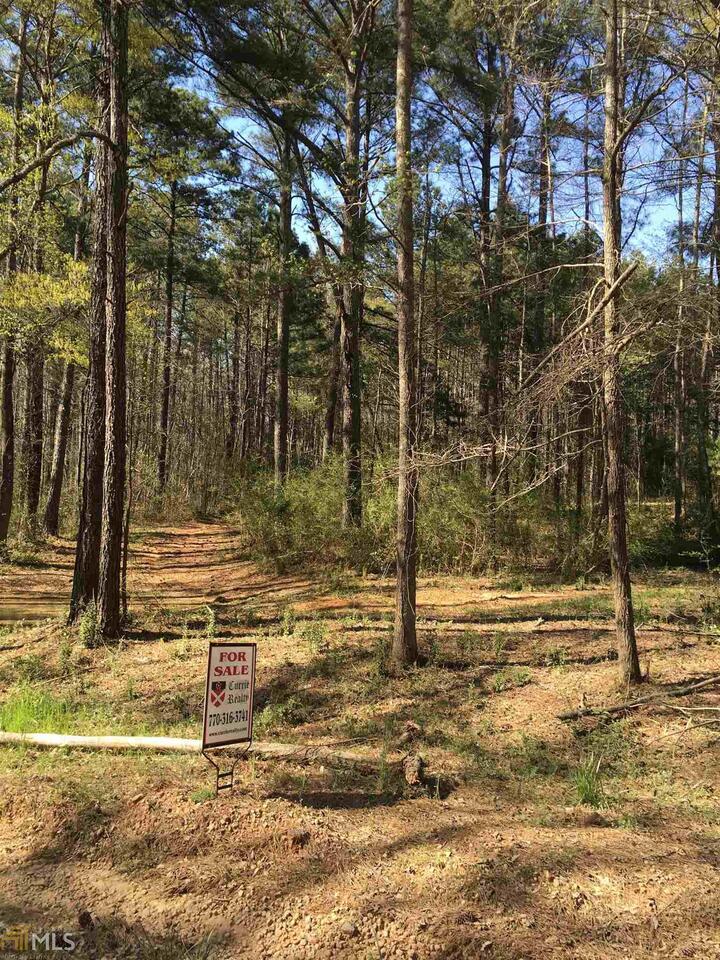 0 Dorsey Road Hampton, GA 30228 - Photo 1 of 1 Gallery Image 1