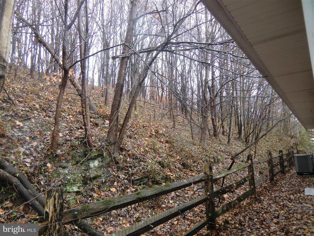 2711 Monocacy Bottom Road Adamstown, MD 21710 - Photo 27 of 28 Exterior (Rear)