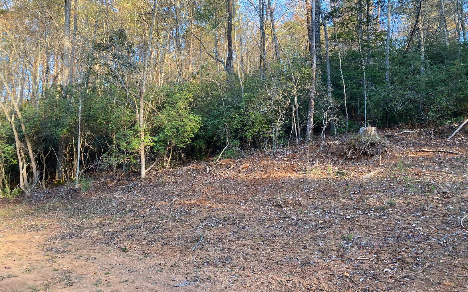 890 Jim Anderson Road Dahlonega, GA 30533 - Photo 29 of 39 Additional View