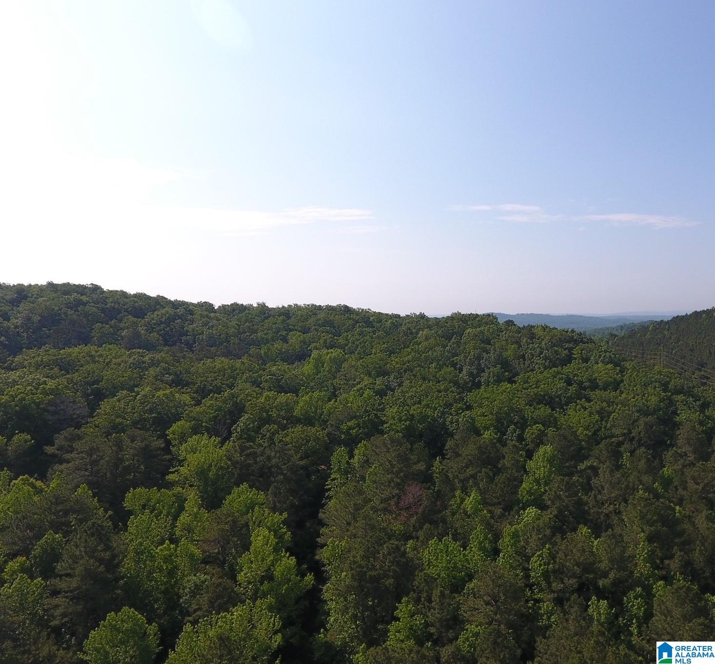 6499 Roe Chandler Road, Unit 10 ACRES Pinson, AL 35126 - Photo 1 of 1