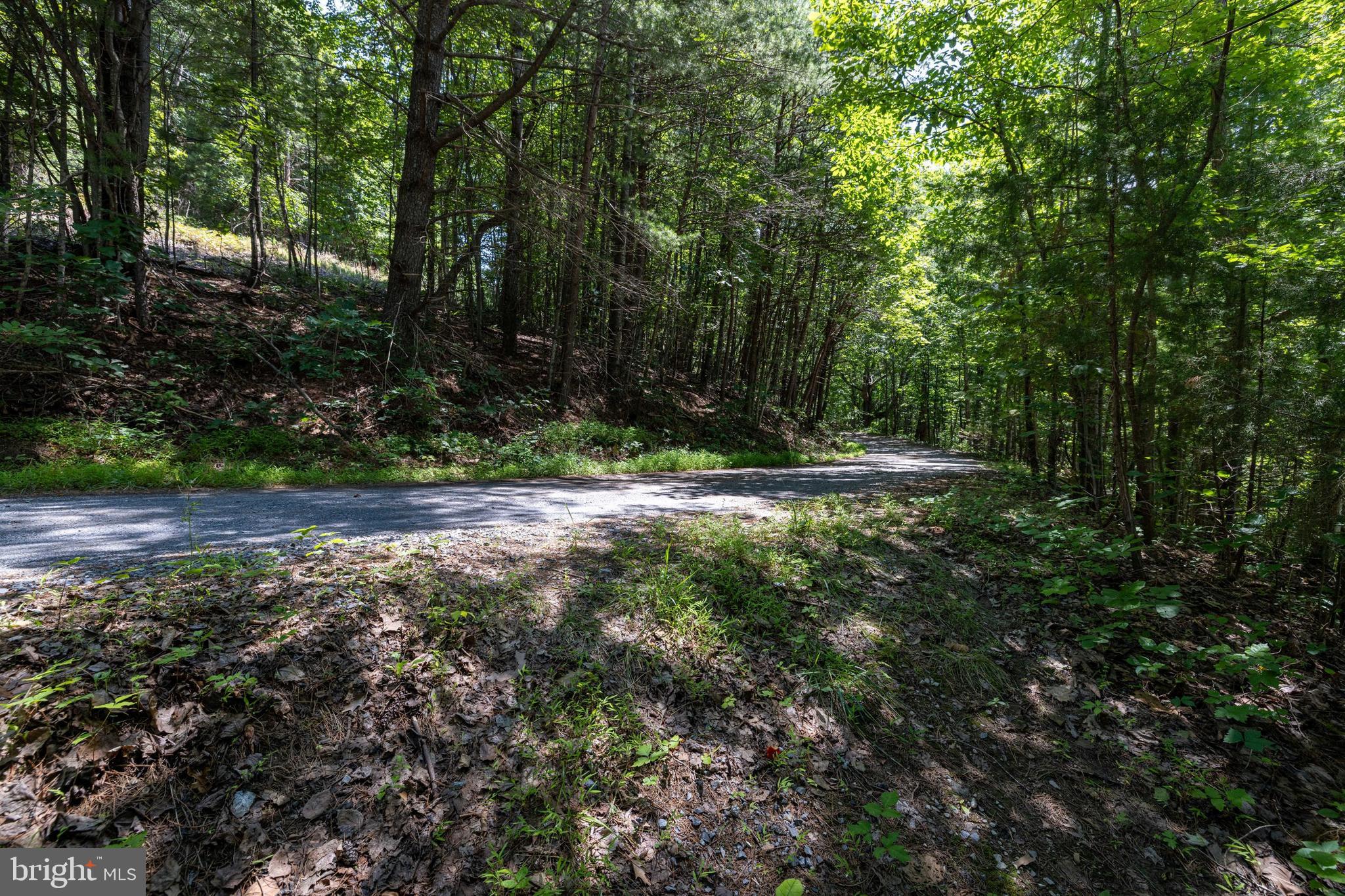 1247 Somers Road Luray, VA 22835 - Photo 48 of 67 a view of outdoor space and yard