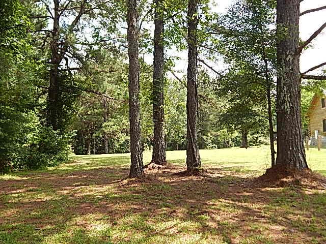 553 A Lone Pine Road, Unit A Canton, MS 39046 - Photo 28 of 47 Photo 30
