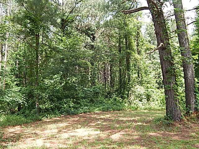 553 A Lone Pine Road, Unit A Canton, MS 39046 - Photo 29 of 47 Photo 31
