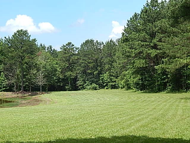 553 A Lone Pine Road, Unit A Canton, MS 39046 - Photo 30 of 47 Photo 32