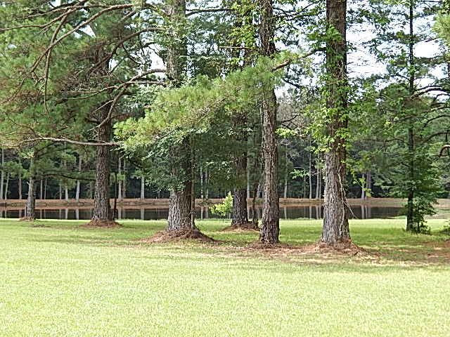 553 A Lone Pine Road, Unit A Canton, MS 39046 - Photo 35 of 47 Photo 37