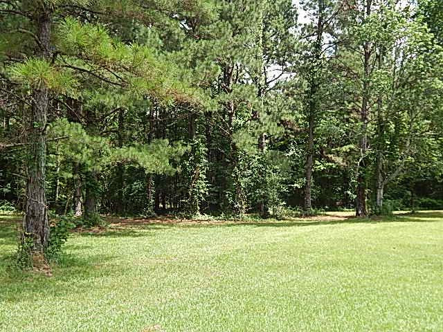 553 A Lone Pine Road, Unit A Canton, MS 39046 - Photo 37 of 47 Photo 39
