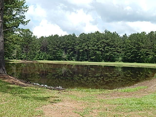 553 A Lone Pine Road, Unit A Canton, MS 39046 - Photo 42 of 47 Photo 44