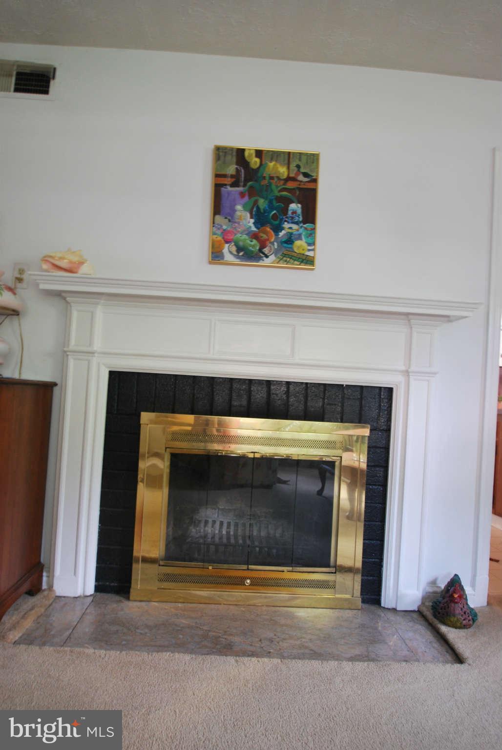 10506 Huntley Place Silver Spring, MD 20902 - Photo 4 of 17 Wood Burning Fireplae
