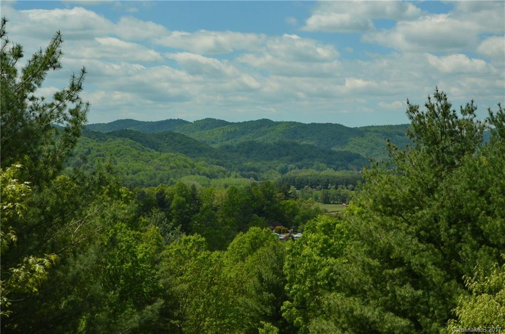 4521 Cove Loop Road Hendersonville, NC 28739 - Photo 2 of 22 Gallery Image 2
