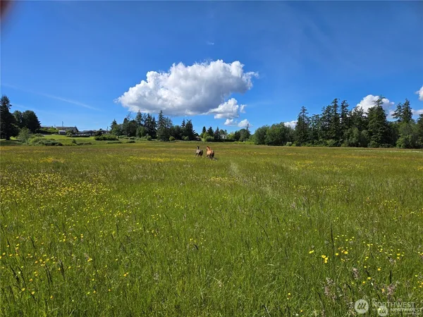$2,300,000 | 221 Baker View Lane, Camano Island, WA 98282