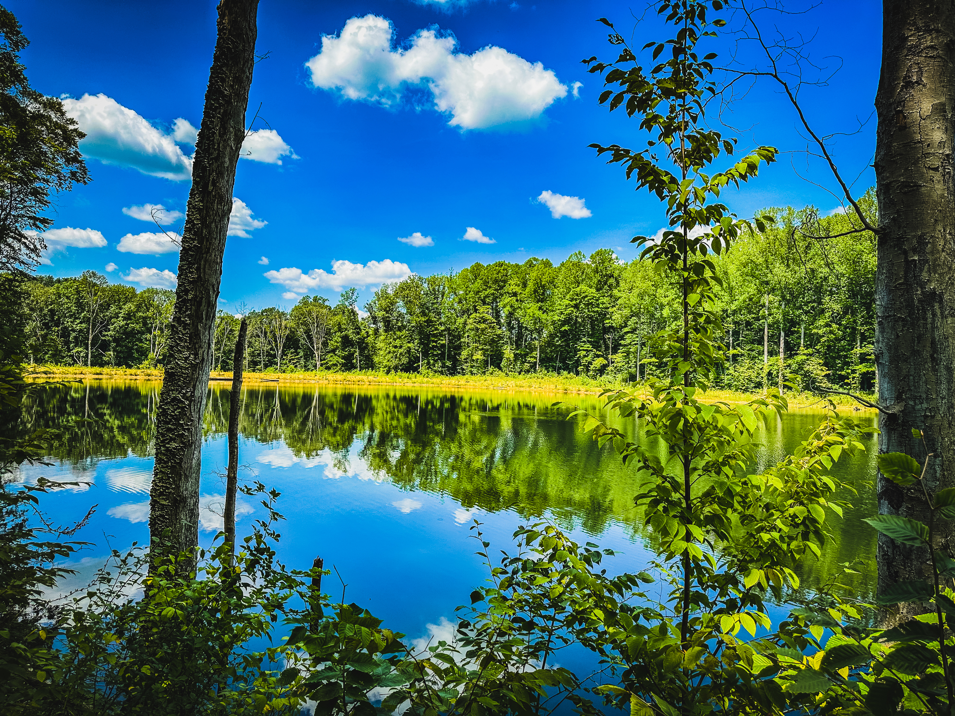 0 Goose Creek Road Freedom, IN 47431 - Photo 1 of 25