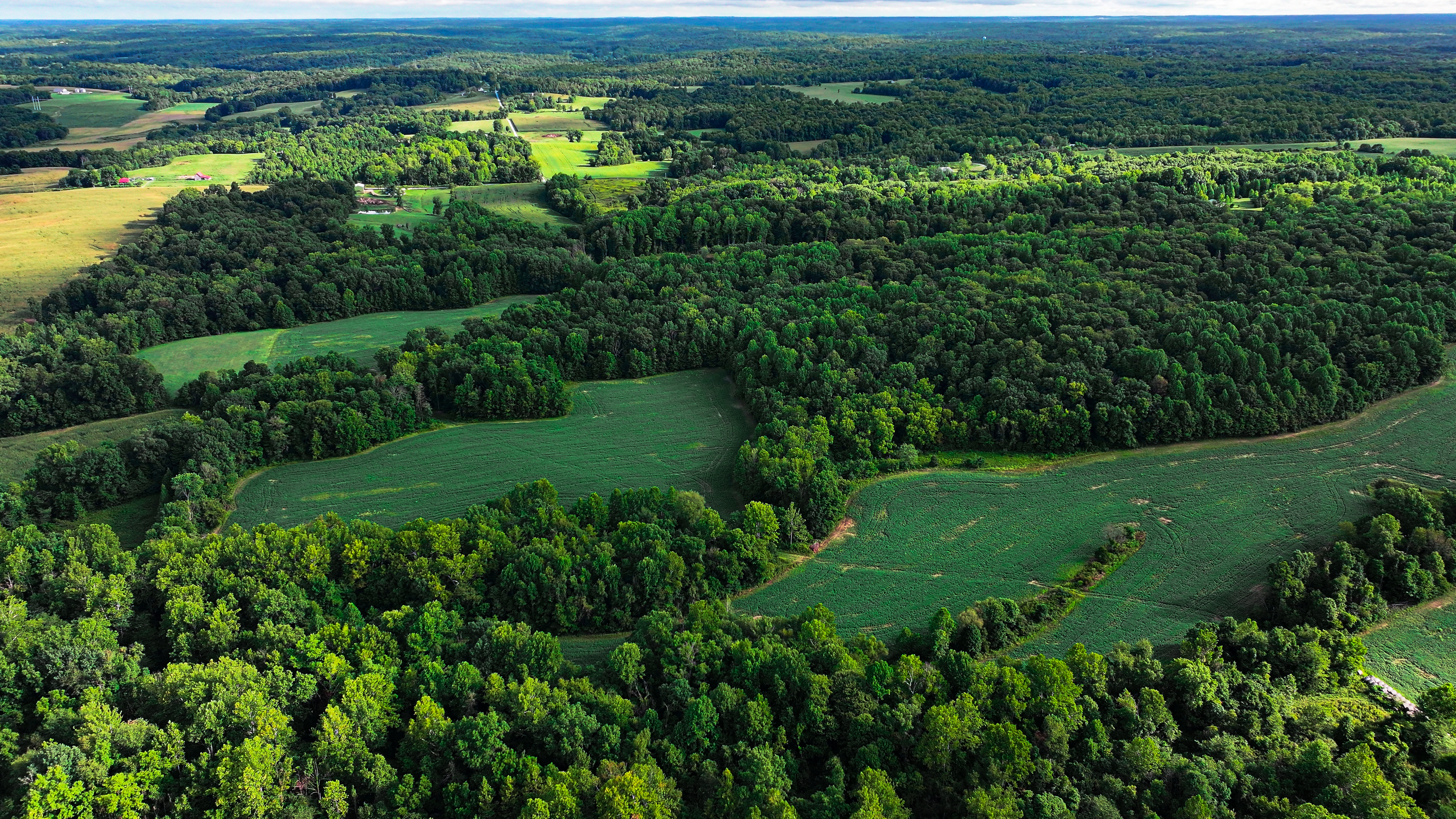 0 Goose Creek Road Freedom, IN 47431 - Photo 11 of 25