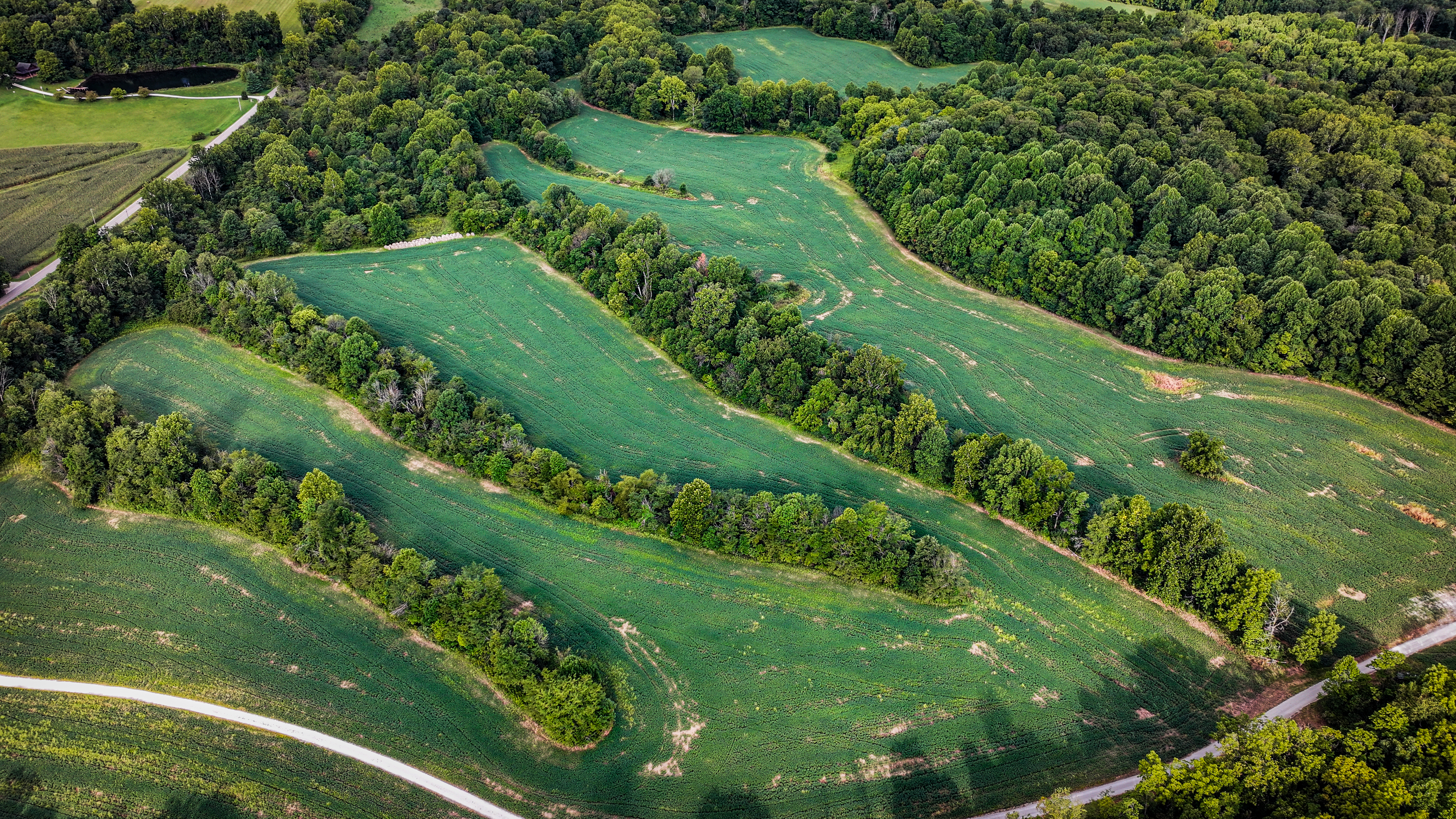 0 Goose Creek Road Freedom, IN 47431 - Photo 12 of 25