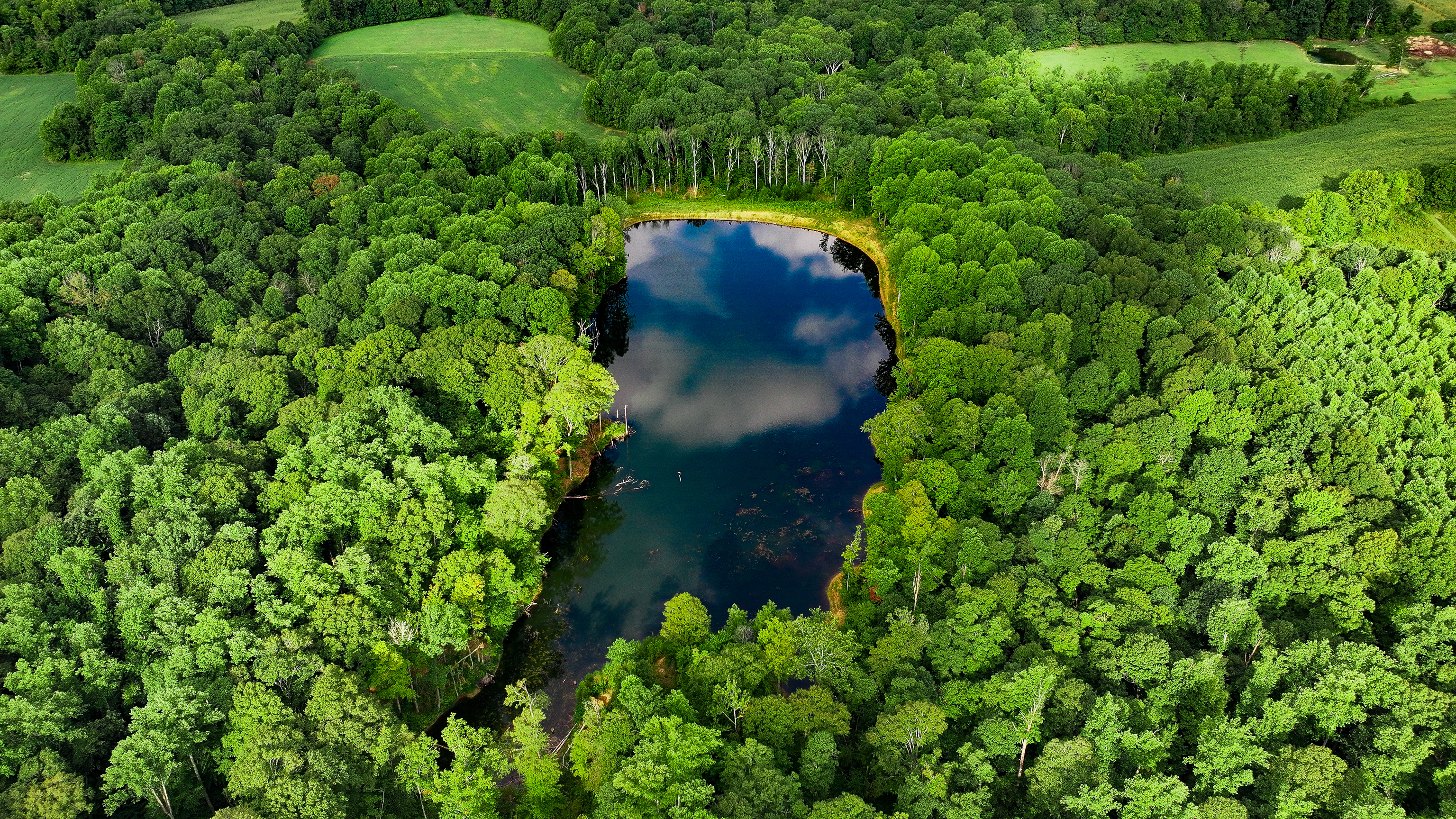 0 Goose Creek Road Freedom, IN 47431 - Photo 13 of 25