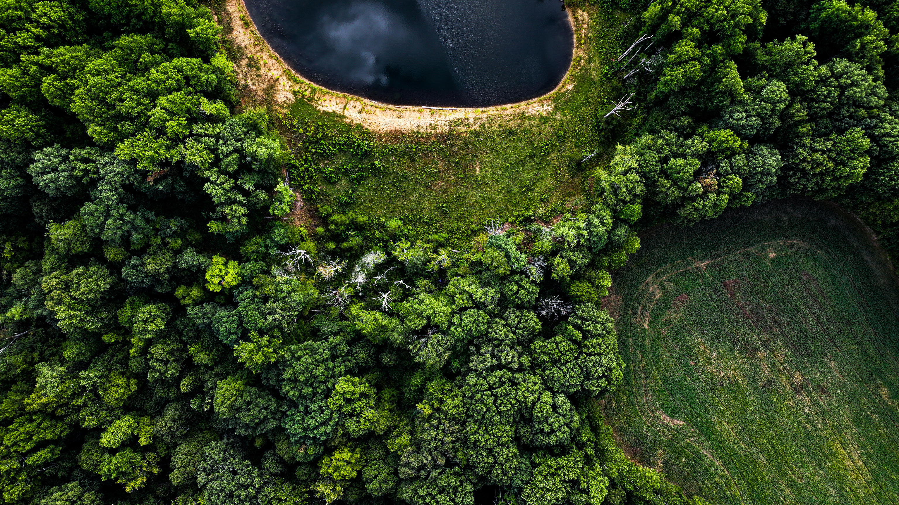 0 Goose Creek Road Freedom, IN 47431 - Photo 14 of 25