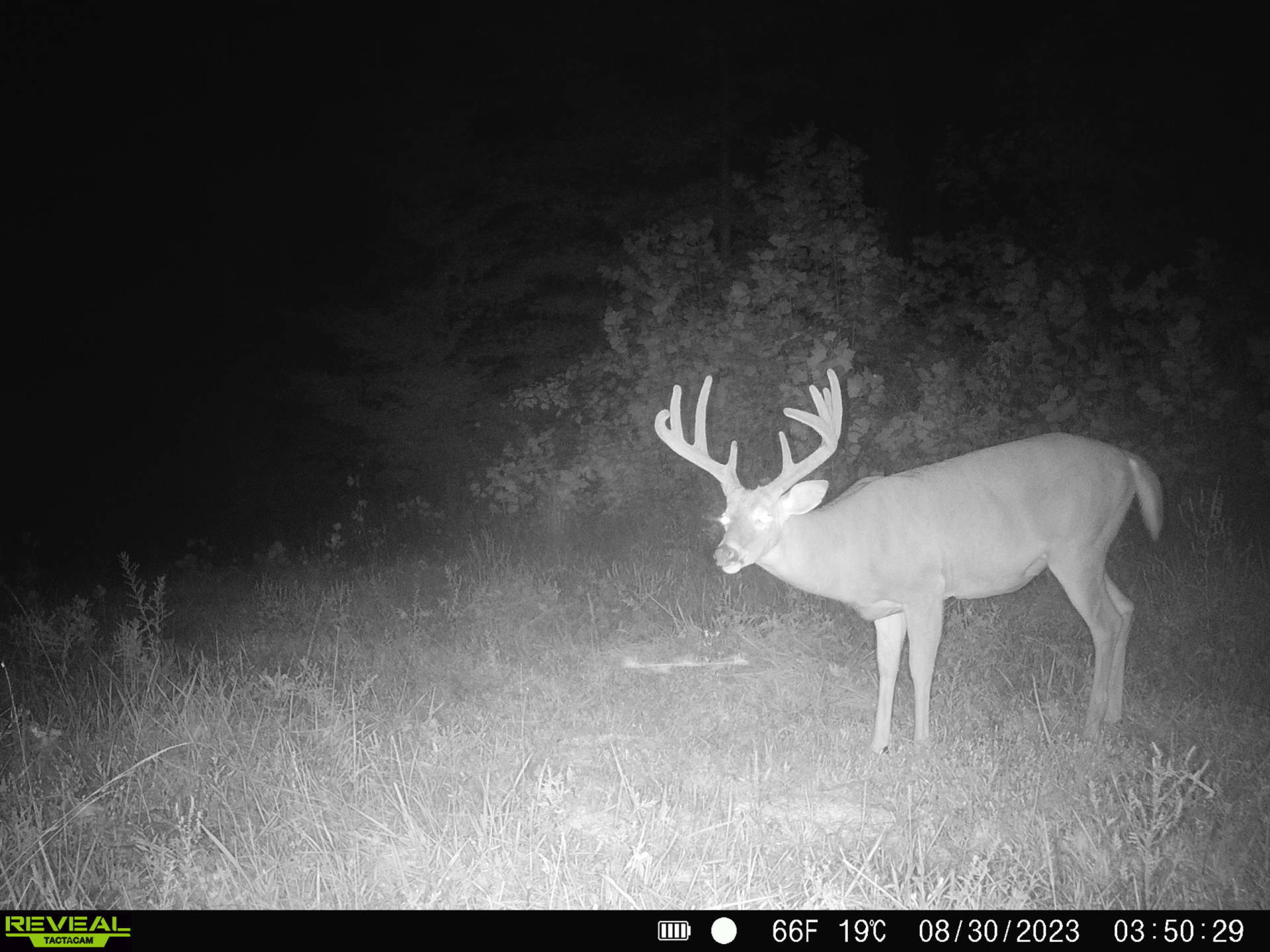 0 Goose Creek Road Freedom, IN 47431 - Photo 17 of 25