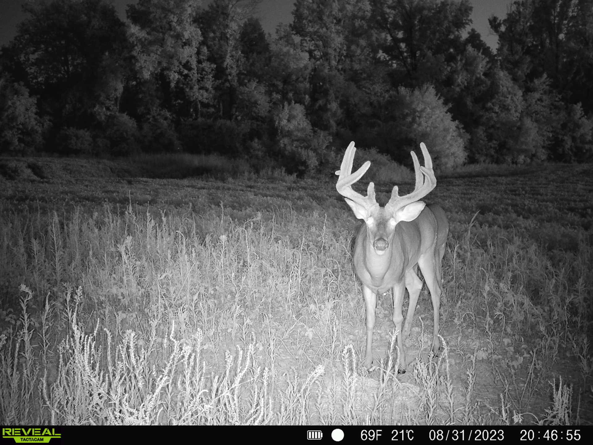 0 Goose Creek Road Freedom, IN 47431 - Photo 18 of 25