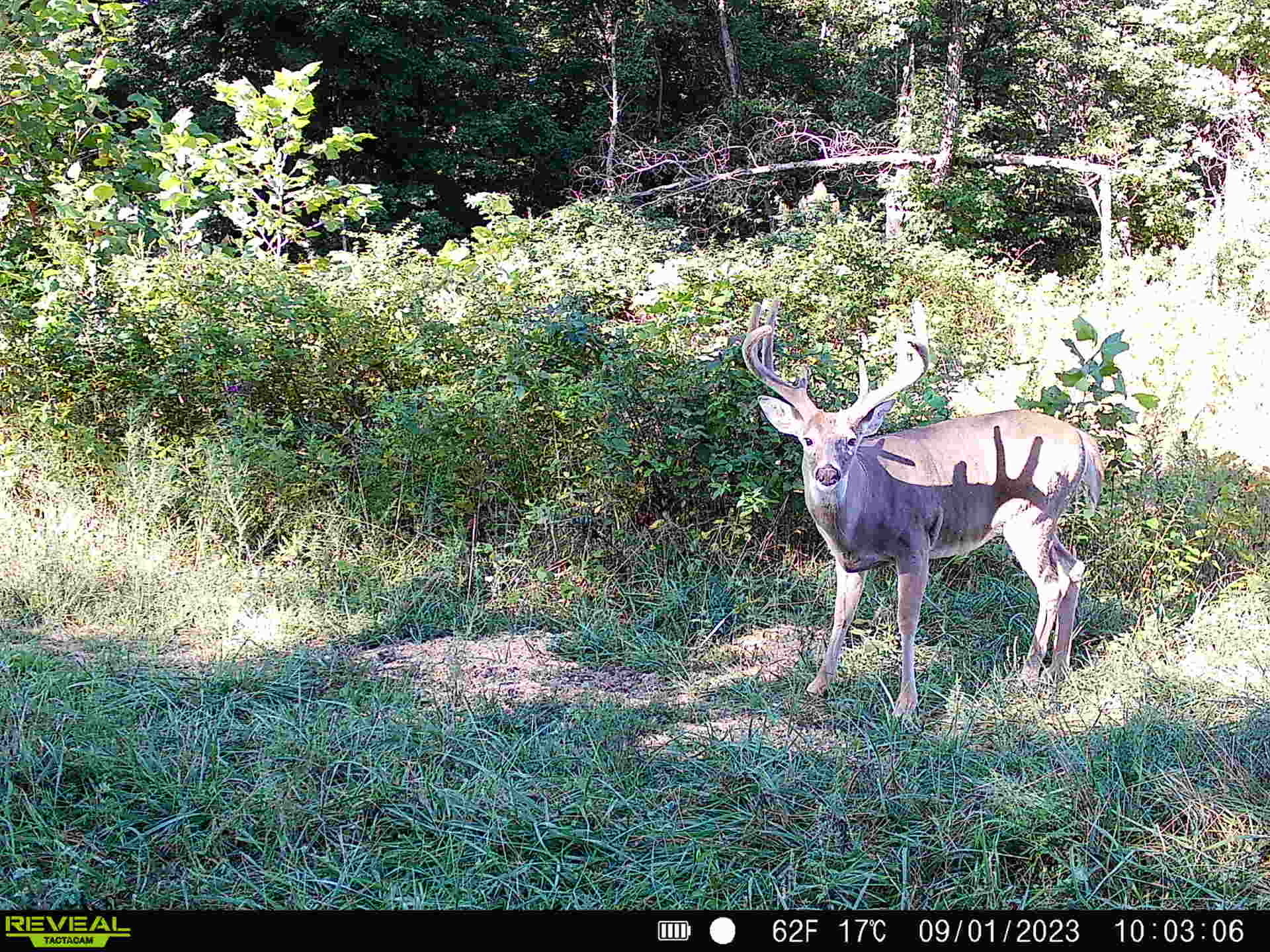 0 Goose Creek Road Freedom, IN 47431 - Photo 19 of 25