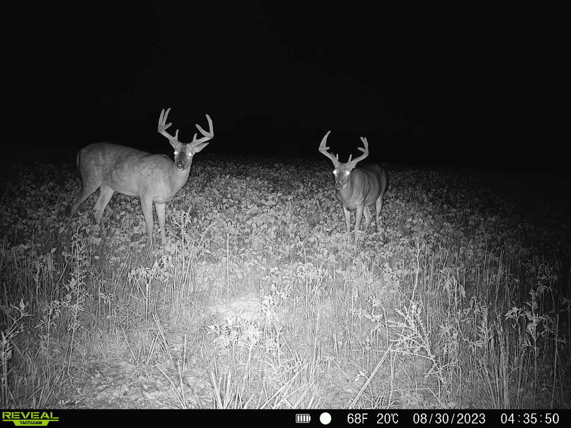 0 Goose Creek Road Freedom, IN 47431 - Photo 20 of 25