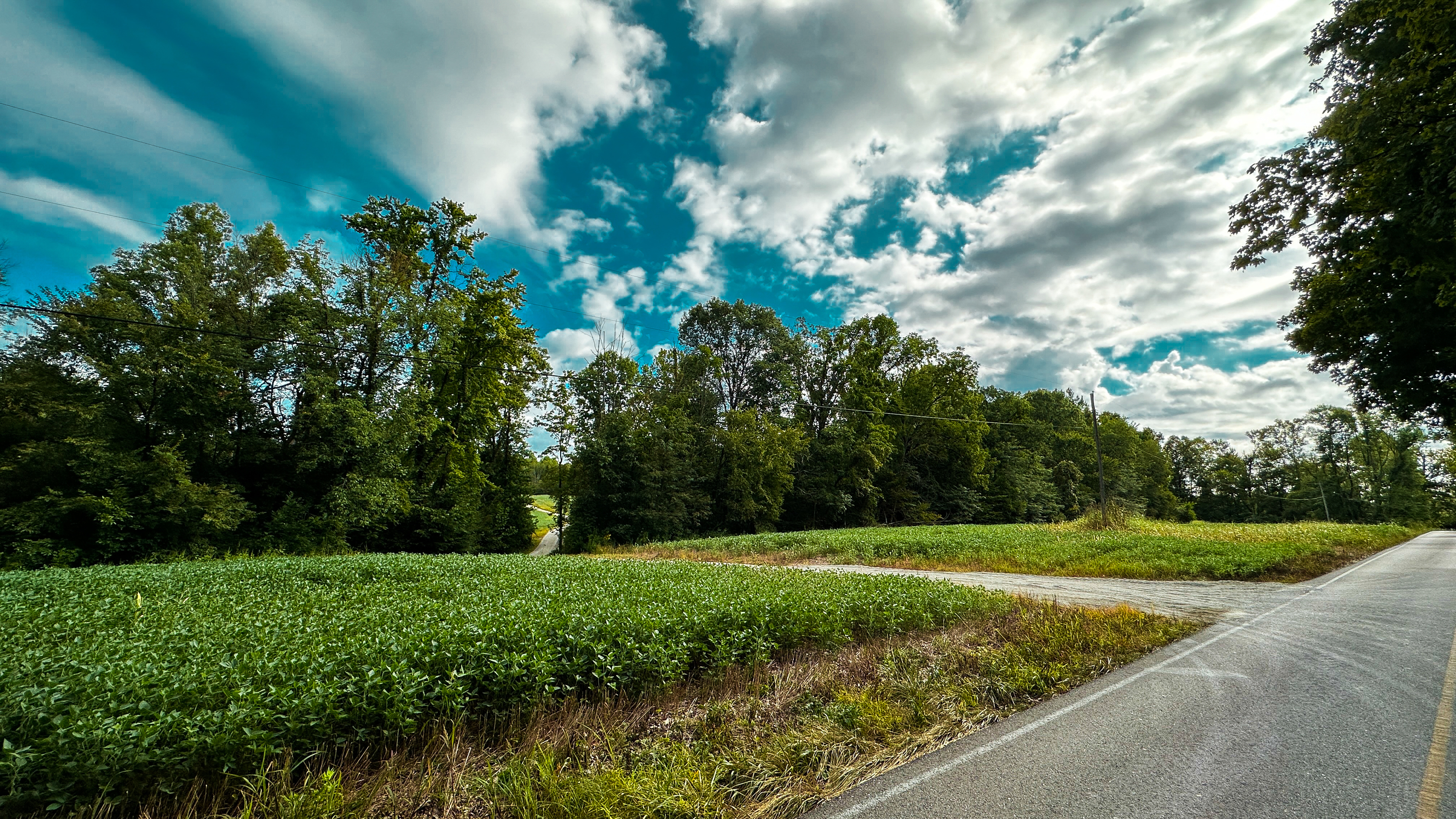 0 Goose Creek Road Freedom, IN 47431 - Photo 2 of 25