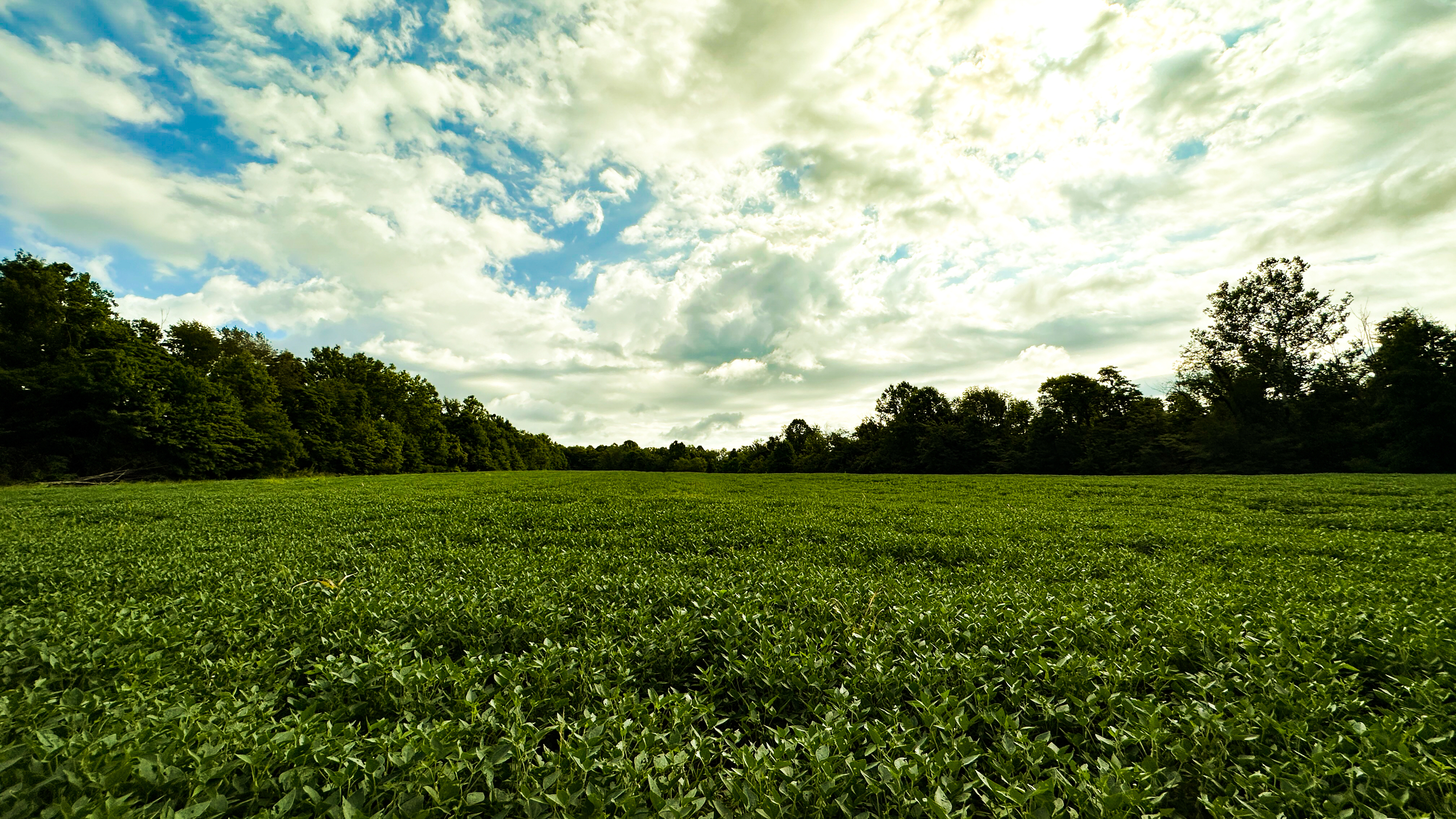 0 Goose Creek Road Freedom, IN 47431 - Photo 23 of 25