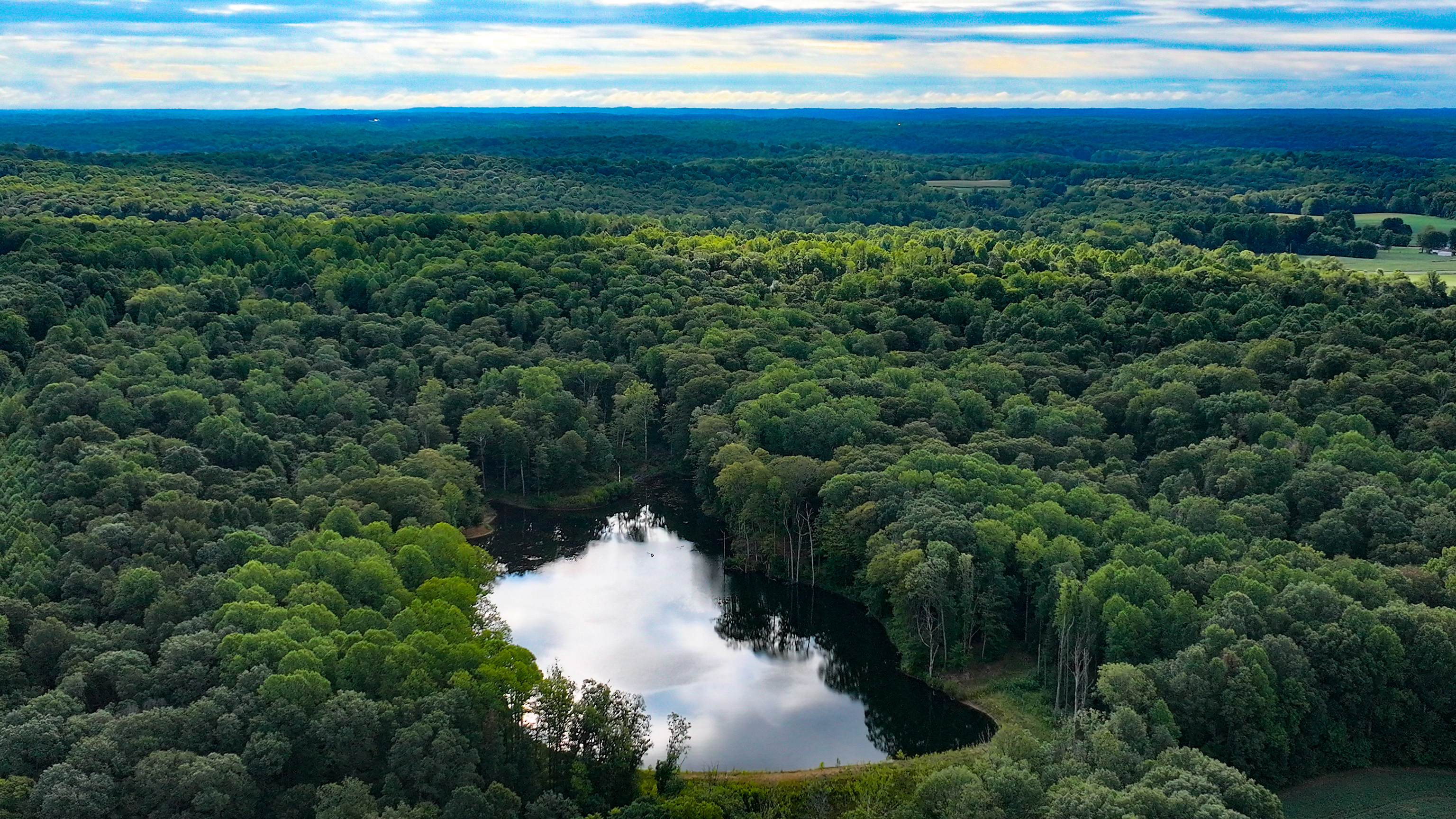 0 Goose Creek Road Freedom, IN 47431 - Photo 24 of 25