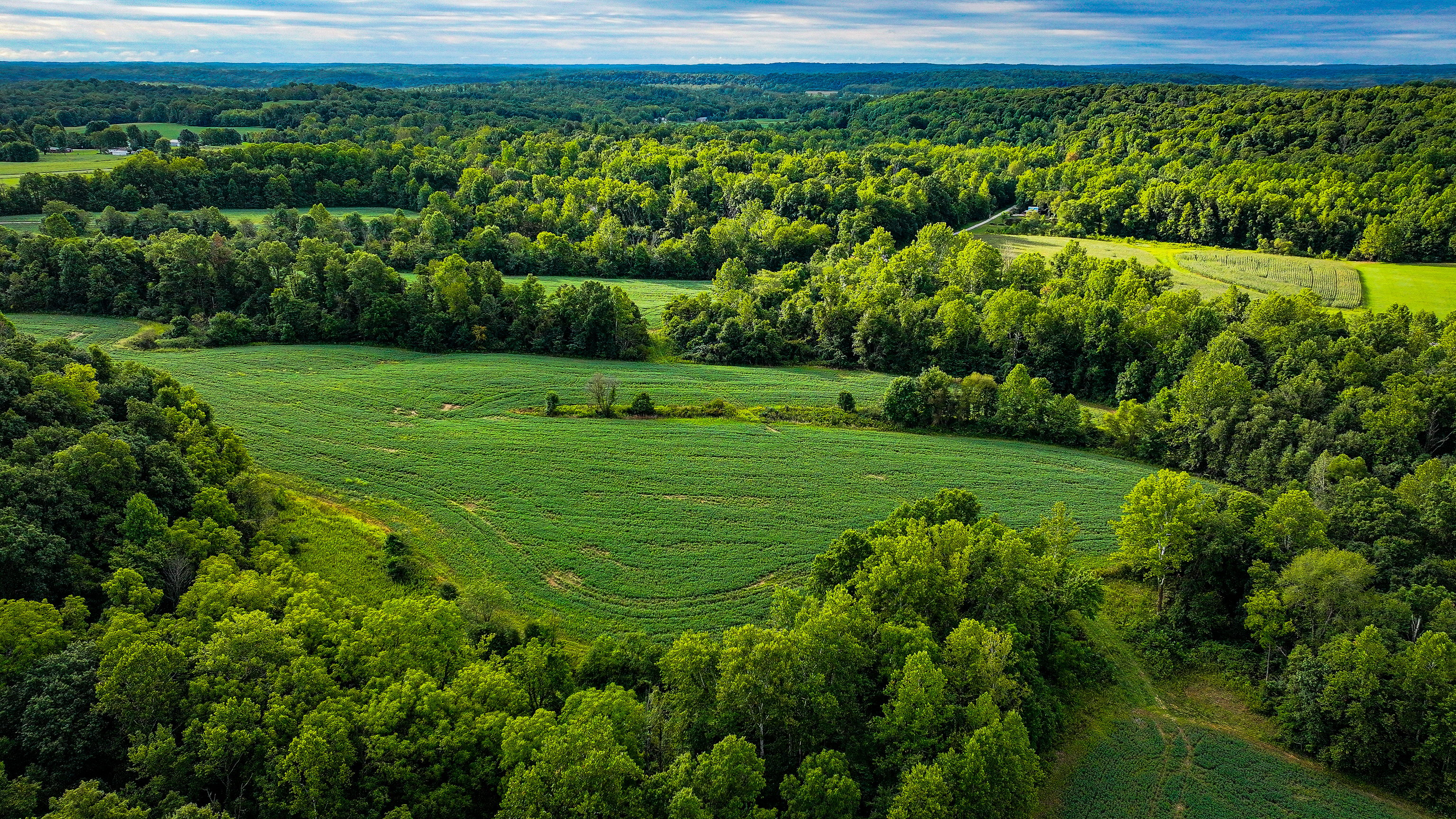 0 Goose Creek Road Freedom, IN 47431 - Photo 25 of 25