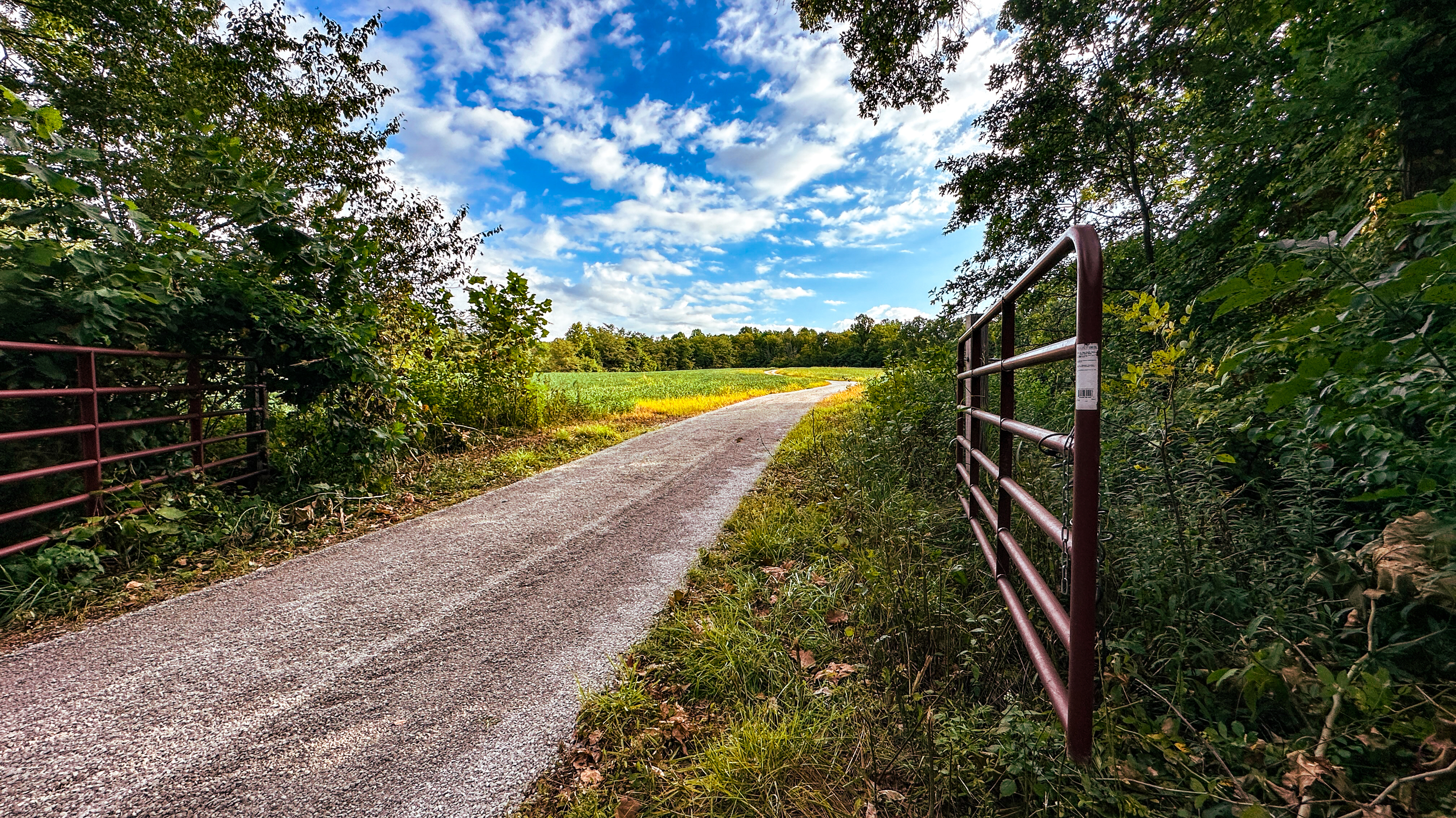 0 Goose Creek Road Freedom, IN 47431 - Photo 3 of 25