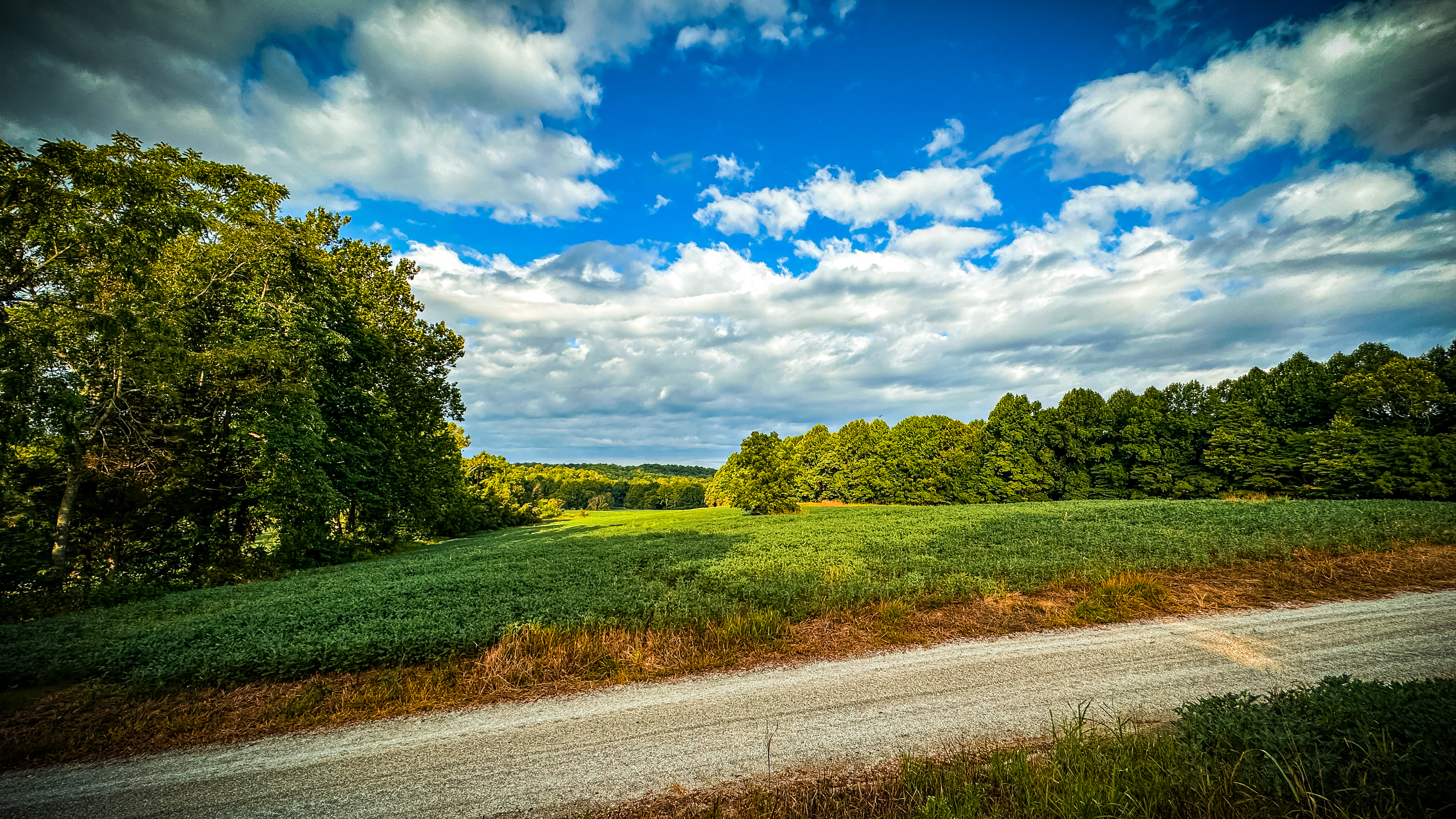 0 Goose Creek Road Freedom, IN 47431 - Photo 4 of 25