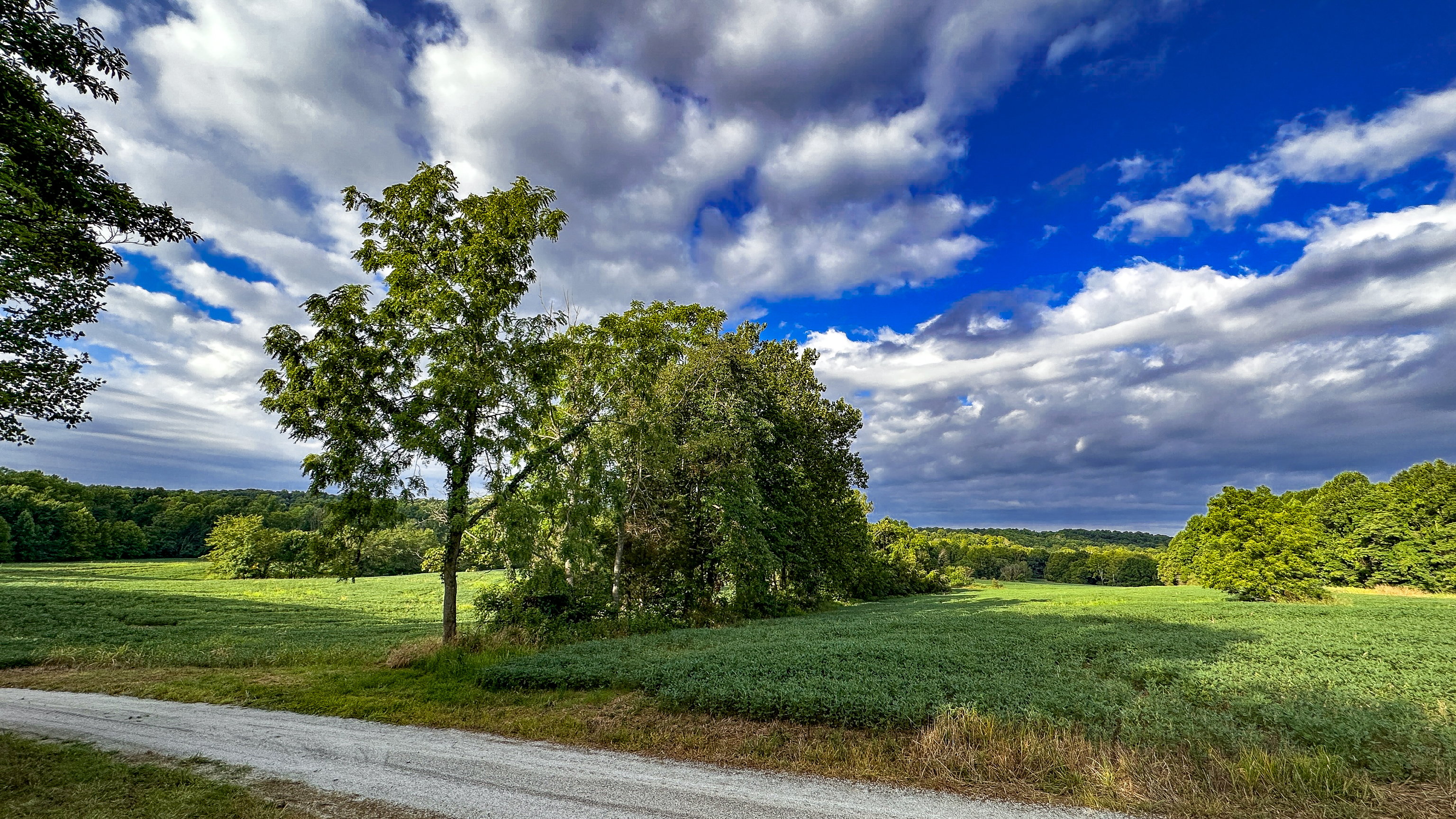0 Goose Creek Road Freedom, IN 47431 - Photo 5 of 25