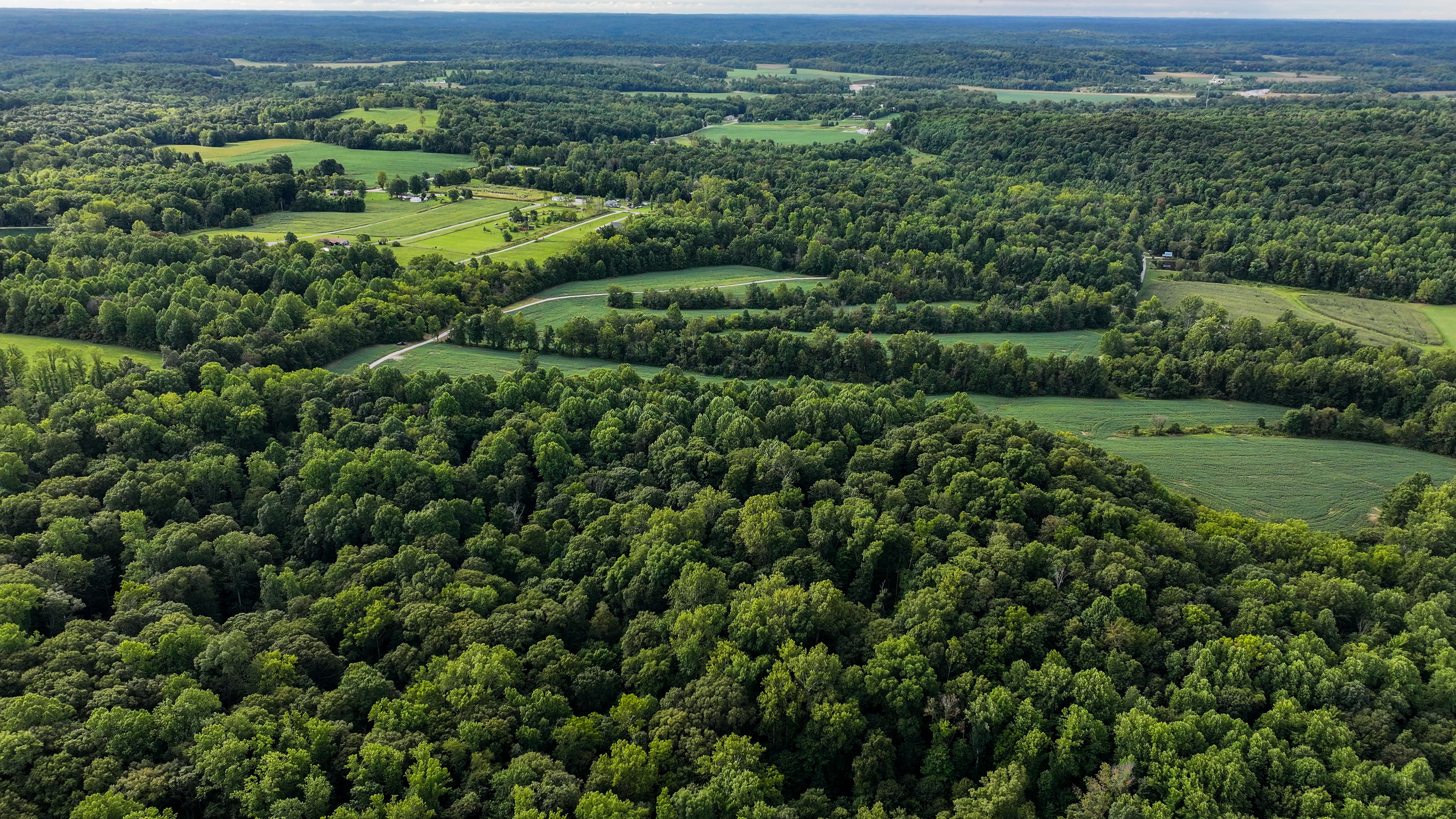 0 Goose Creek Road Freedom, IN 47431 - Photo 9 of 25