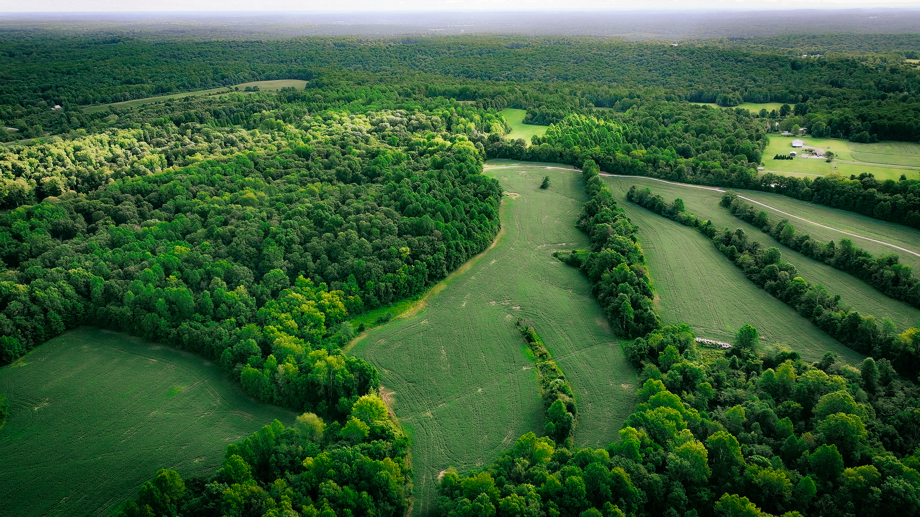0 Goose Creek Road Freedom, IN 47431 - Photo 10 of 25