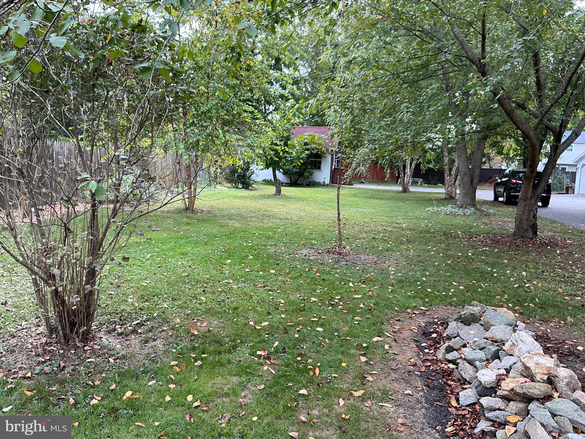 30 South Village Avenue Exton, PA 19341 - Photo 10 of 31 a view of a tree in a yard