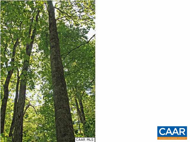 2723 Nethers Road Sperryville, VA 22740 - Photo 19 of 24 Gallery Image 19