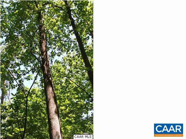 2723 Nethers Road Sperryville, VA 22740 - Photo 20 of 24 Gallery Image 20