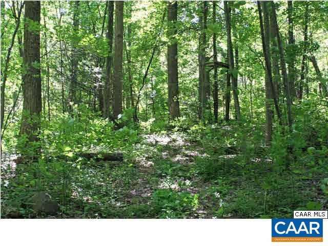 2723 Nethers Road Sperryville, VA 22740 - Photo 22 of 24 Gallery Image 22