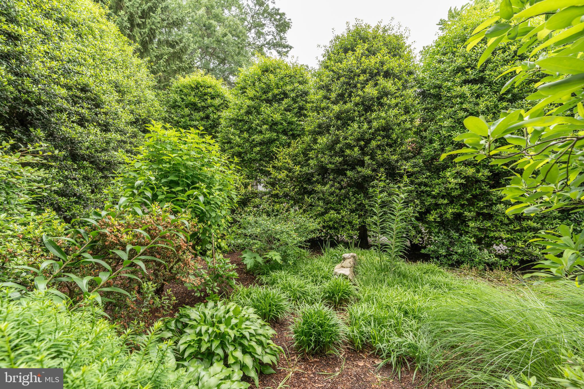 5045 Reno Road Northwest Washington, DC 20008 - Photo 62 of 65 Gallery Image 62