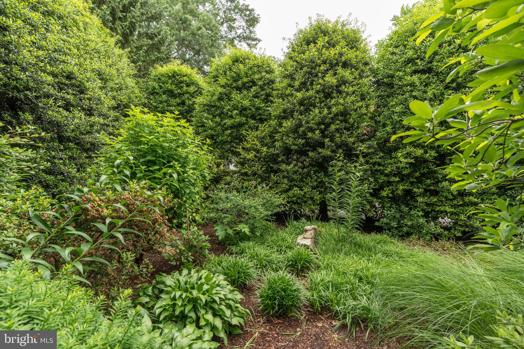 5045 Reno Road Northwest Washington, DC 20008 - Photo 63 of 65 Gallery Image 63