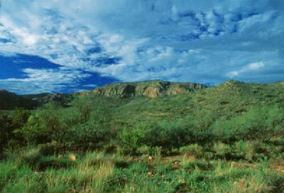 102 Tejano Springs Road Rio Rico, AZ 85648 - Photo 6 of 7