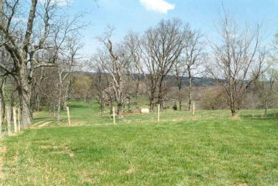 Farm is gently rolling with scatter tree