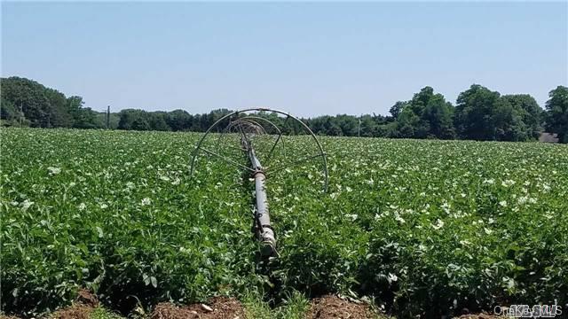 1355 East Mill Road Mattituck, NY 11952 - Photo 1 of 1 Potatoes & Rye 2017