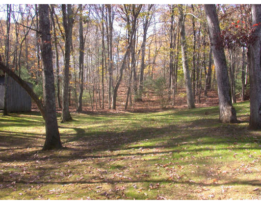 7 Timber Lane Topsfield, MA 01983 - Photo 3 of 10 a view of a yard with large trees