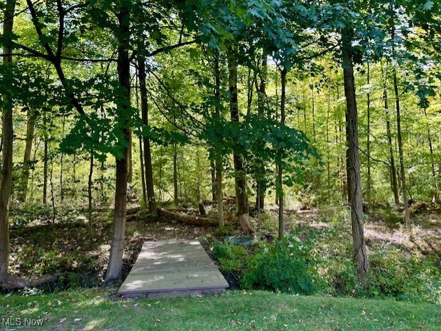 3422 Southern Road Richfield, OH 44286 - Photo 7 of 42 Bridge over small creek