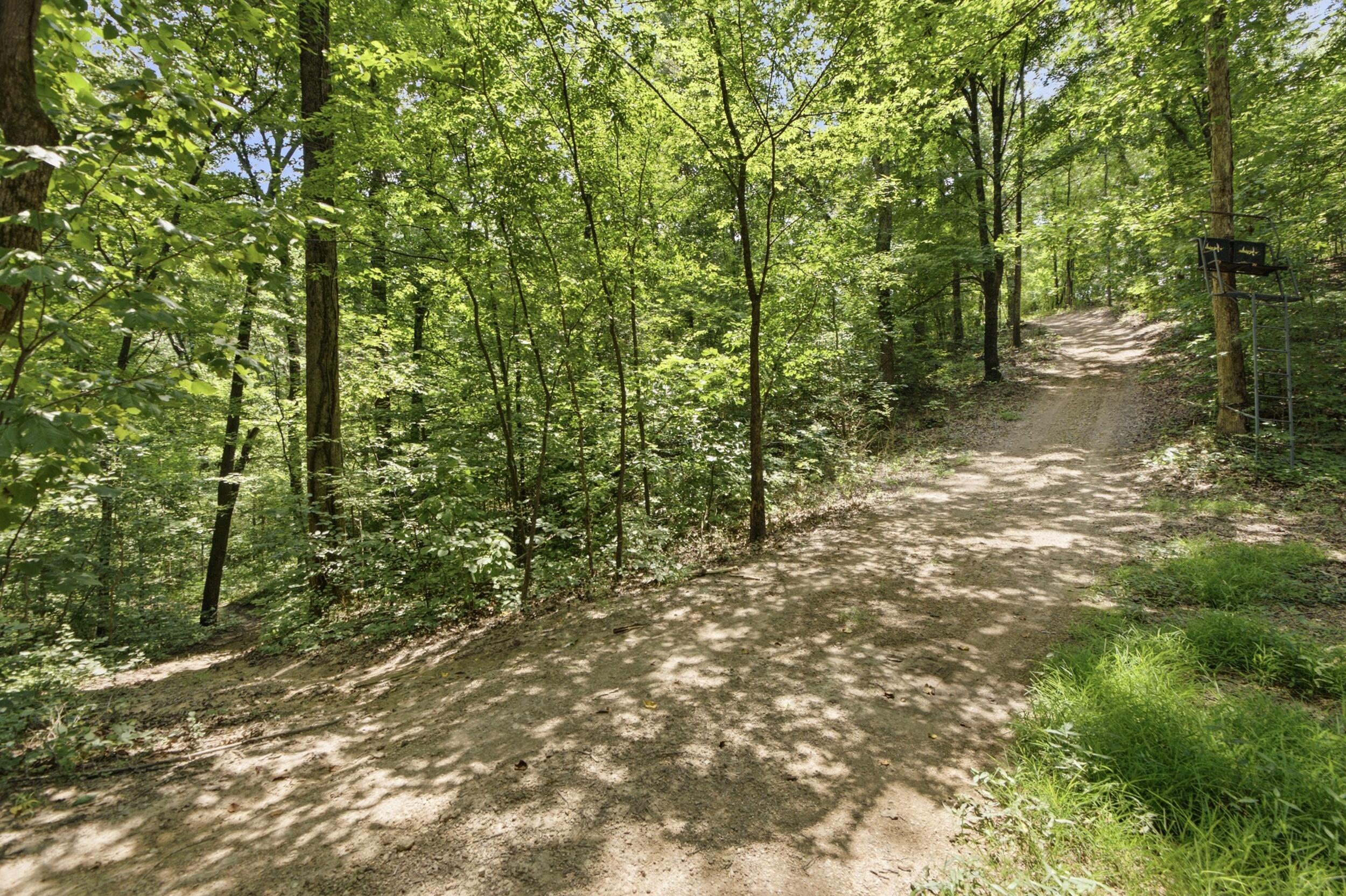 0 Pete Graham Road Jasper, TN 37347 - Photo 9 of 23 011_dsc07485