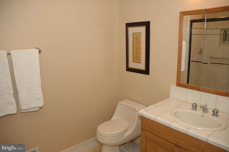 11131 Timberhead Lane Reston, VA 20191 - Photo 9 of 22 Bath #2