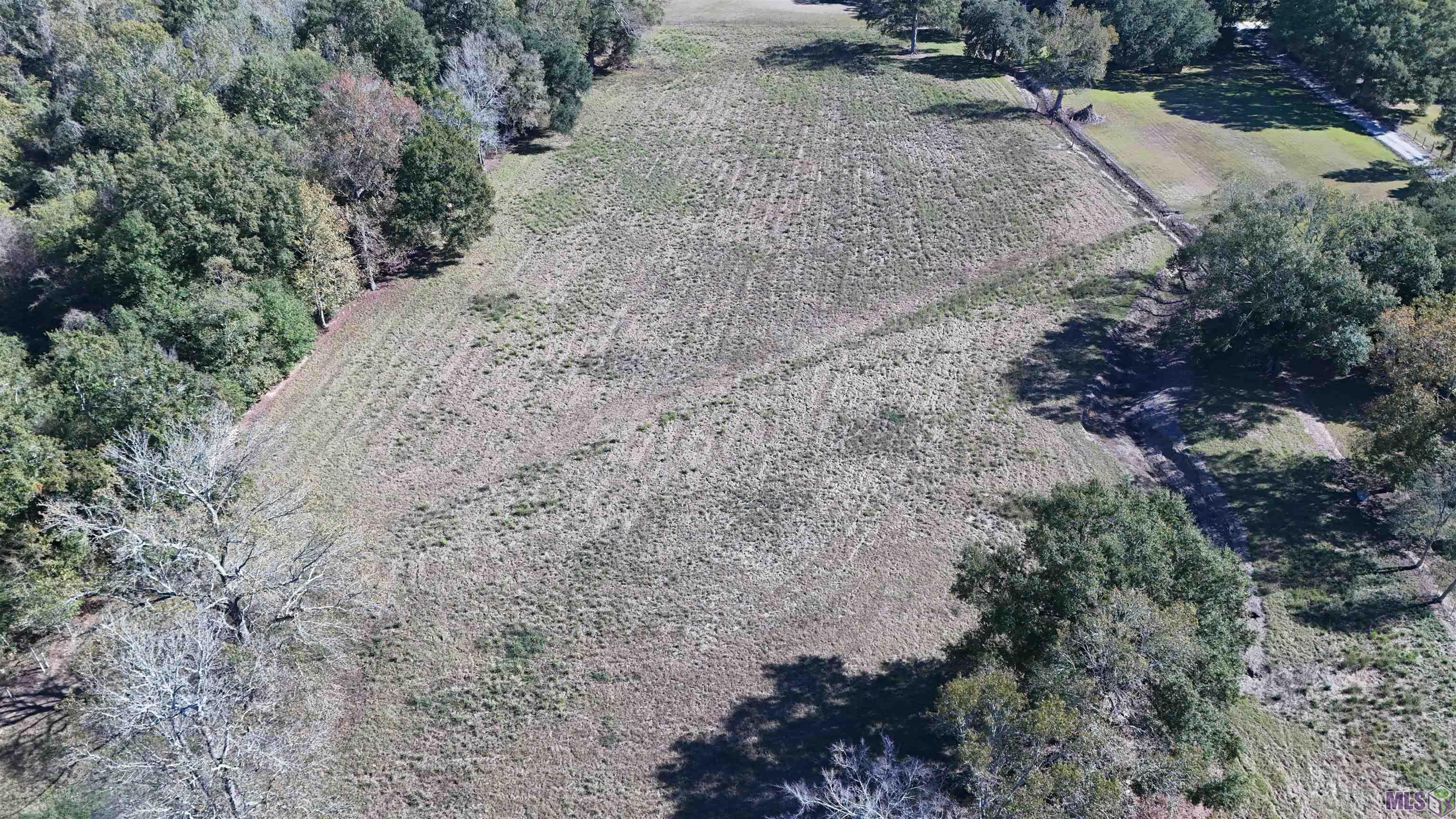 A-3 A Liz Road Prairieville, LA 70769 - Photo 5 of 14 Gallery Image 5