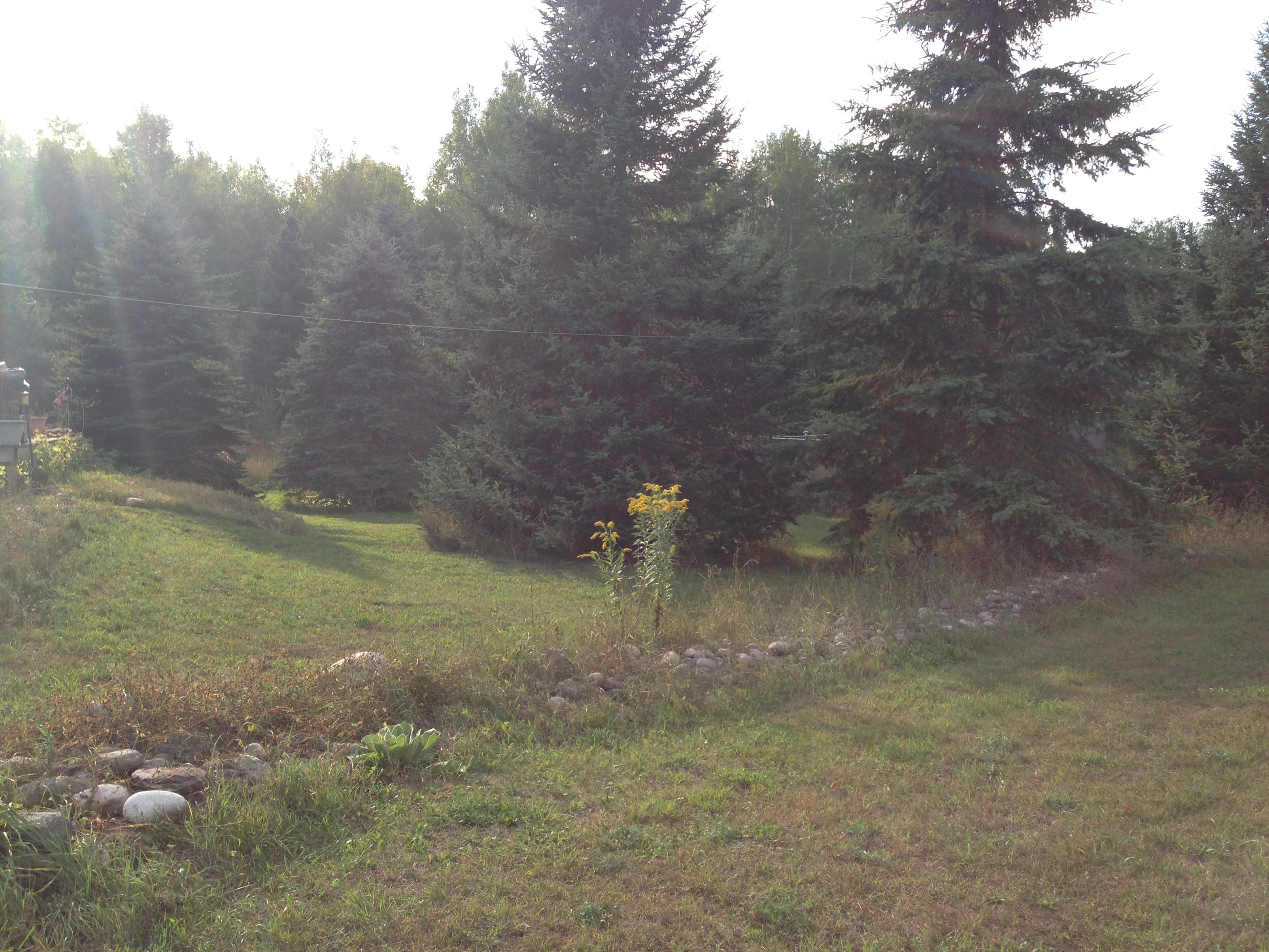 1382 Splendor Valley Road Johannesburg, MI 49751 - Photo 3 of 9 Gallery Image 3